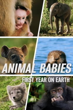 Animal Babies: First Year On Earth-watch