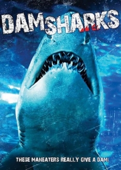 Dam Sharks!-watch