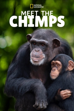 Meet the Chimps-watch