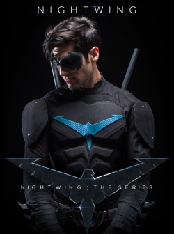 Nightwing: The Series-watch