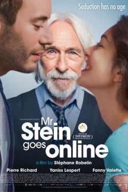 Mr. Stein Goes Online-watch