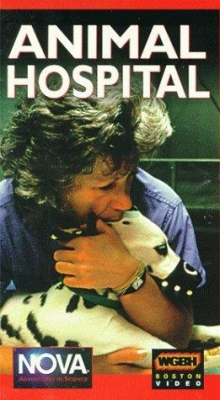 Animal Hospital-watch