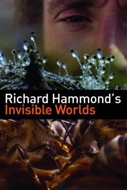 Richard Hammond's Invisible Worlds-watch