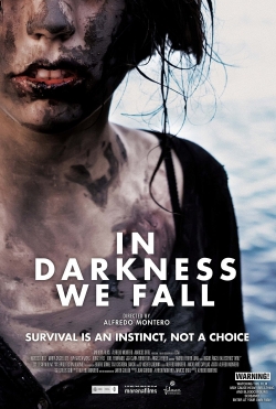 In Darkness We Fall-watch