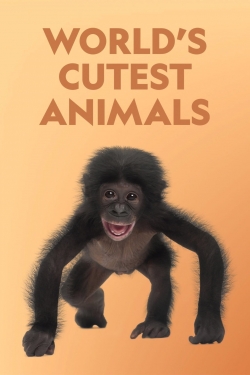 World's Cutest Animals-watch