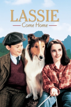 Lassie Come Home-watch