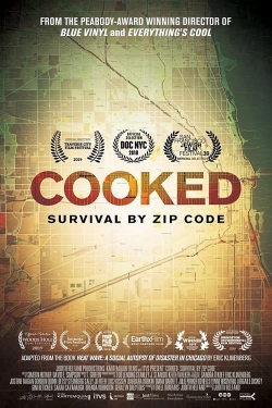 Cooked: Survival by Zip Code-watch