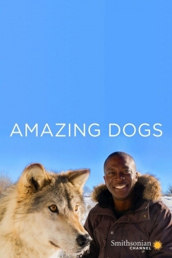 Amazing Dogs-watch