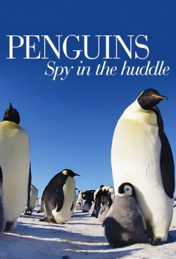 Penguins: Spy in the Huddle-watch