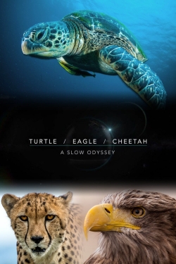 Turtle, Eagle, Cheetah: A Slow Odyssey-watch