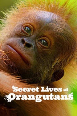 Secret Lives of Orangutans-watch