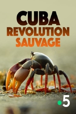 Cuba, révolution sauvage-watch