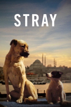 Stray-watch