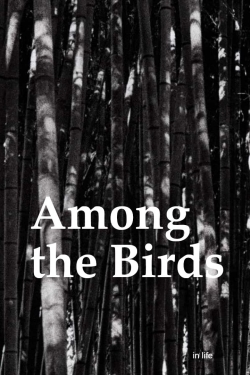 Among the Birds-watch