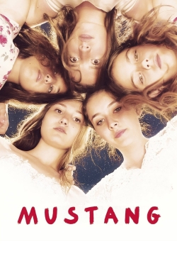 Mustang-watch